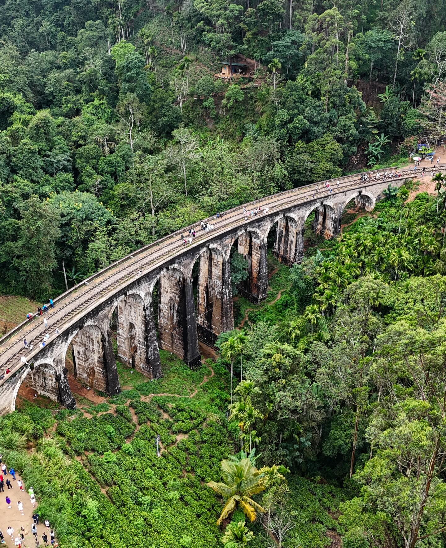 3 Nights Sri Lanka Family Package